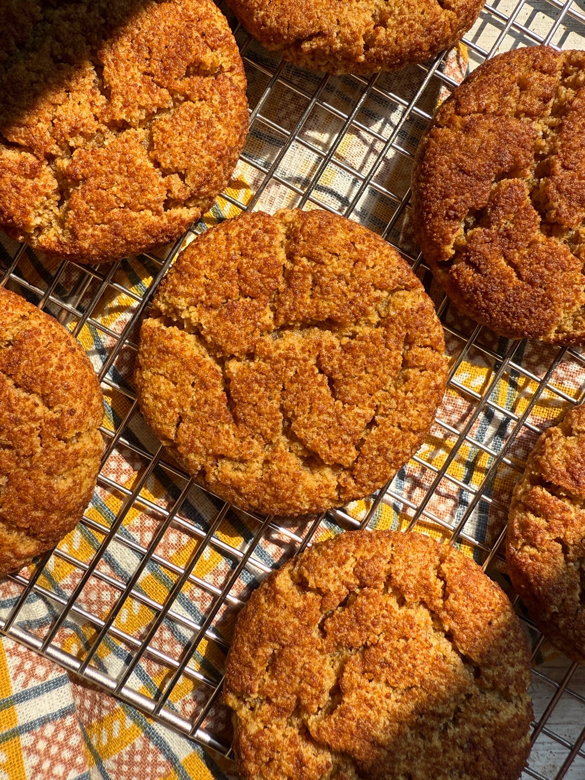 Top view of paleo snickerdoodle cookies.