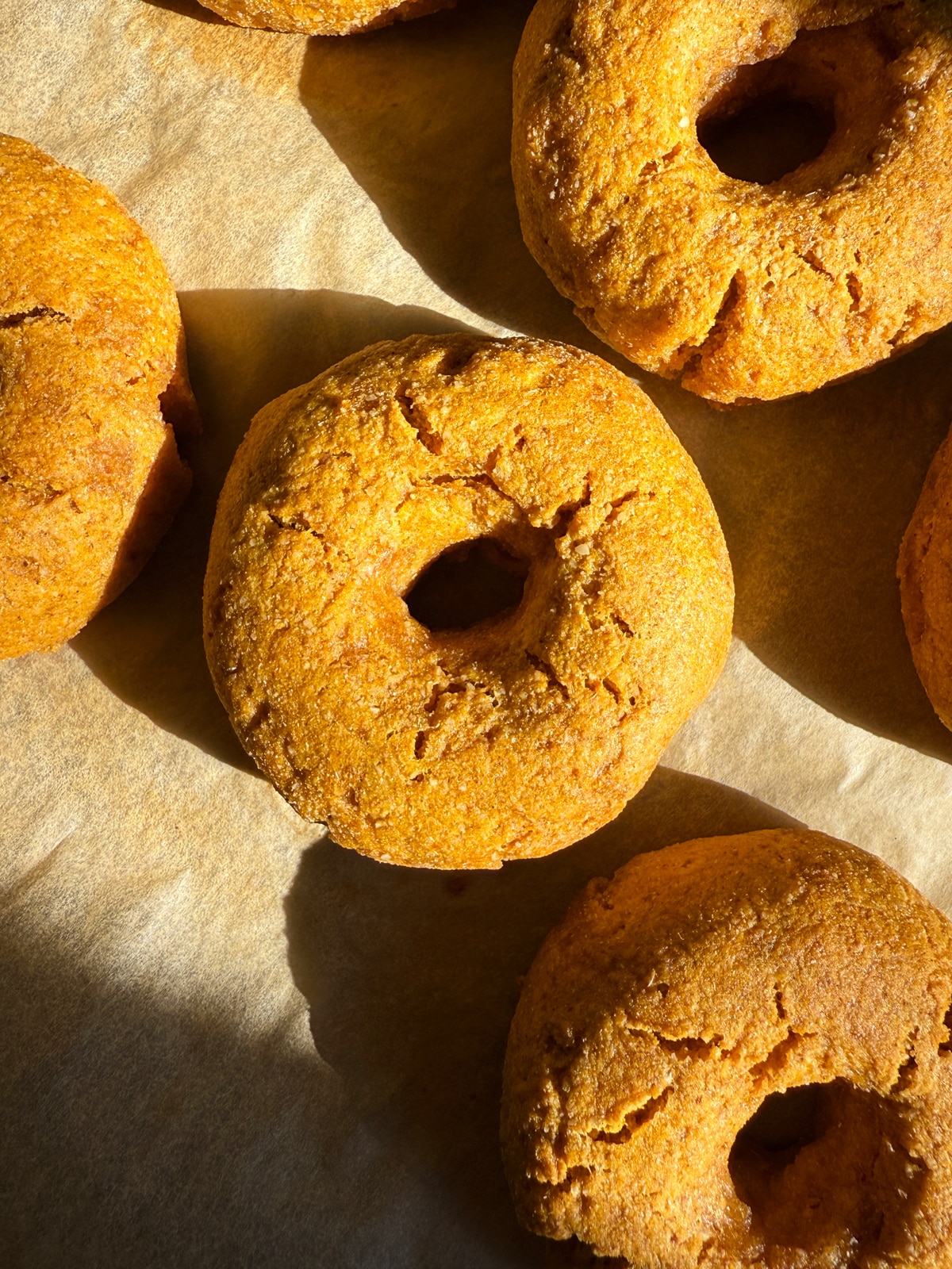 Freshly baked bagels.