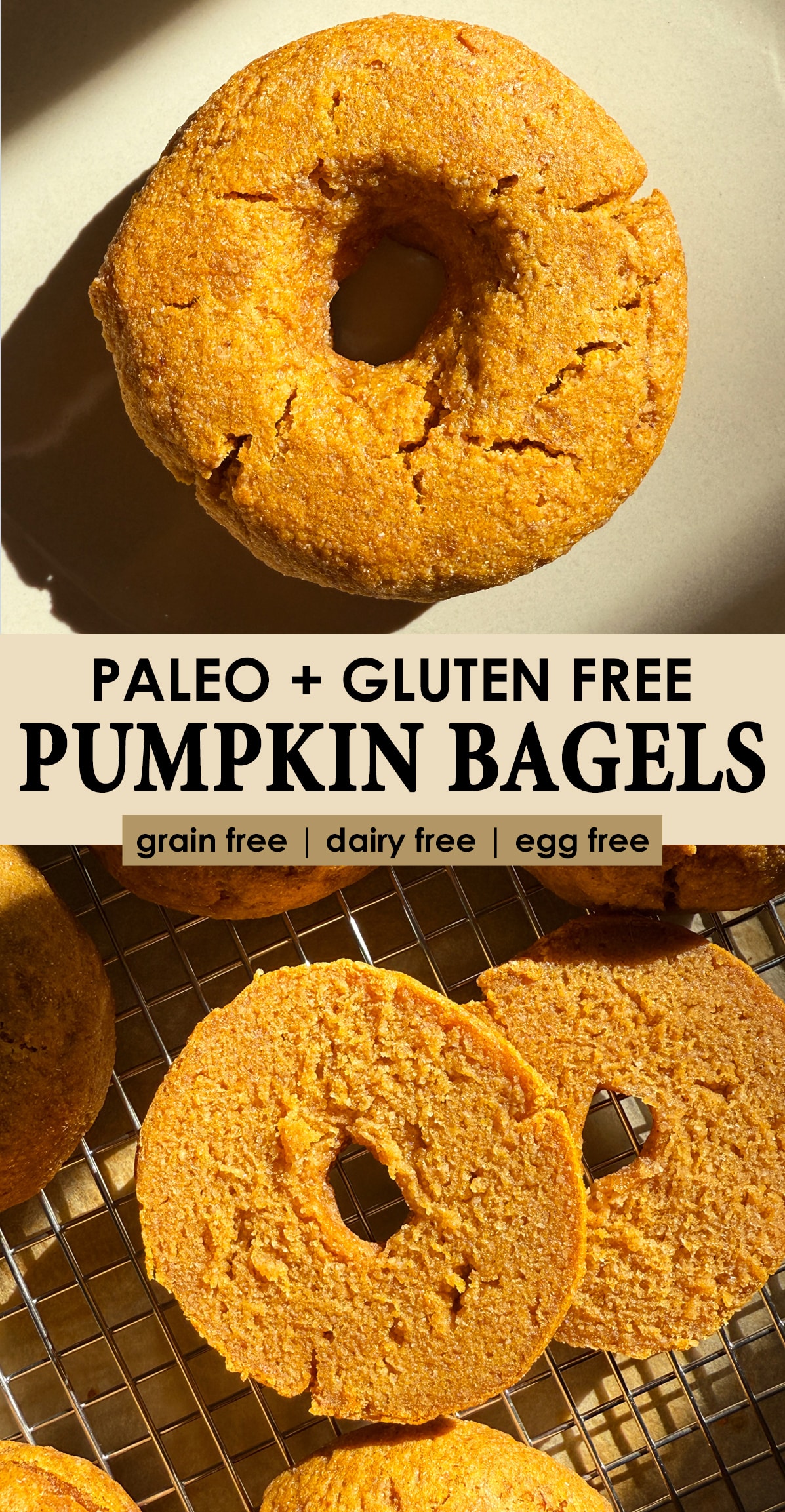 Pinterest image for paleo gluten free pumpkin bagels.