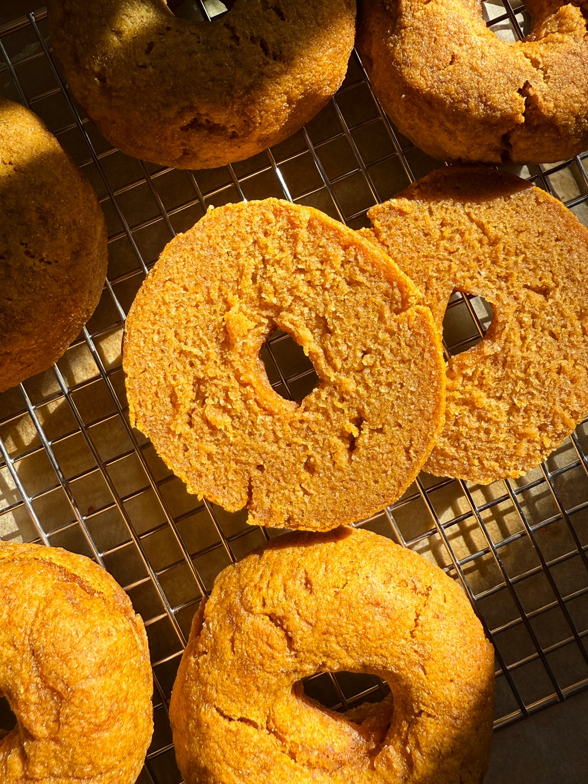 Bagel cut in half to show texture.