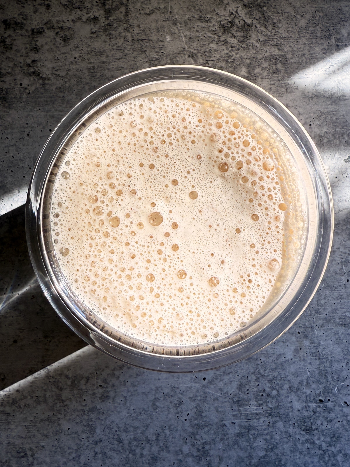 Blended ice cream ingredients in creami pint.
