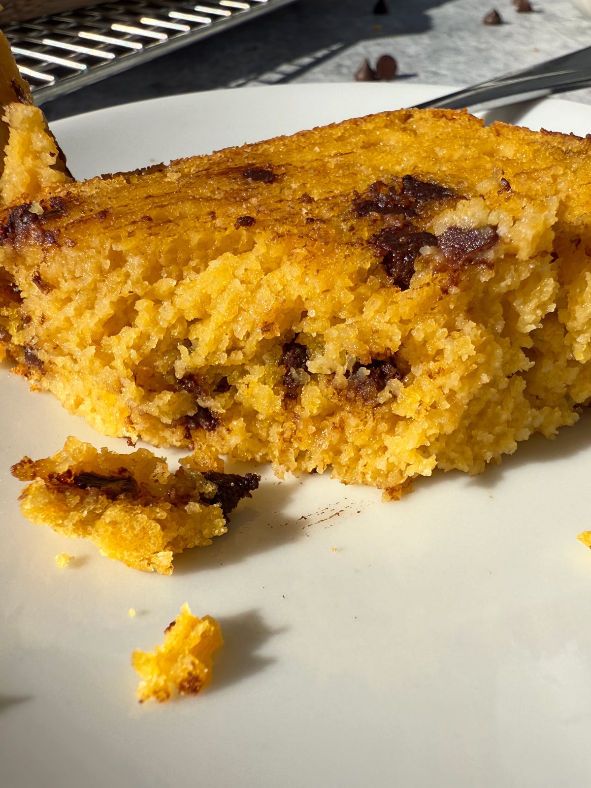 Piece of bread to show texture.