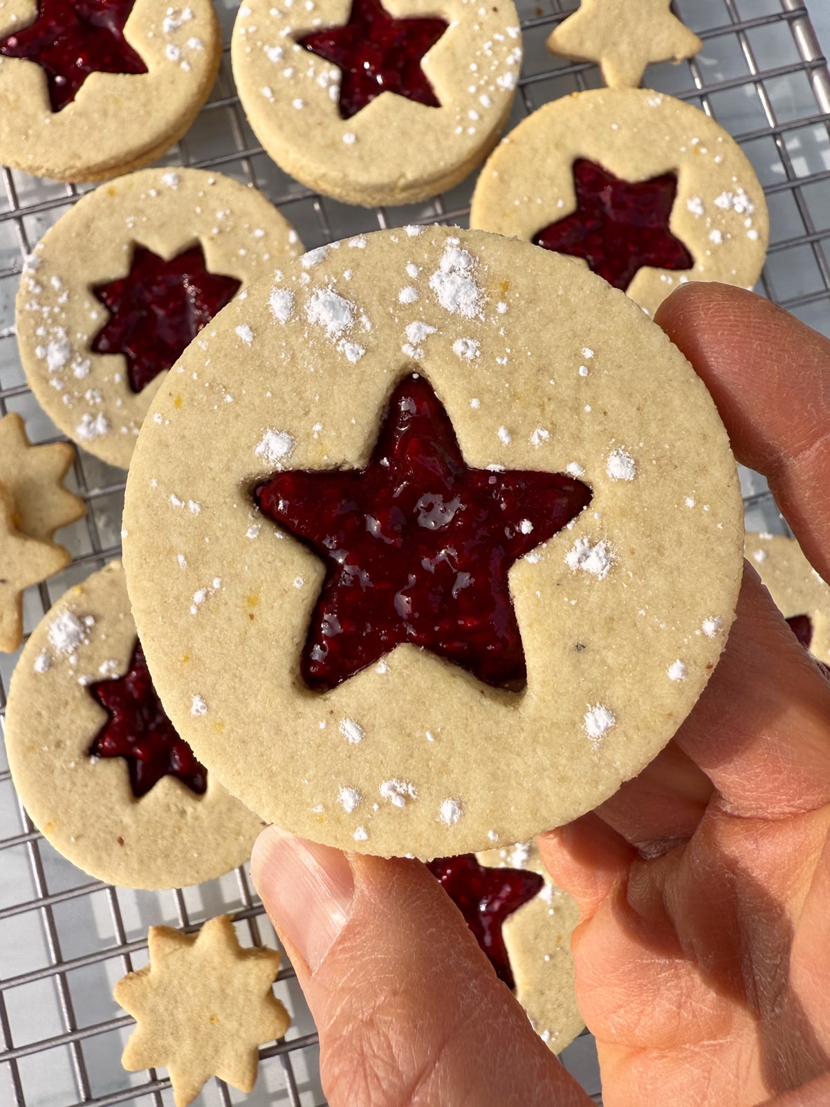Holding a cookie to show size.