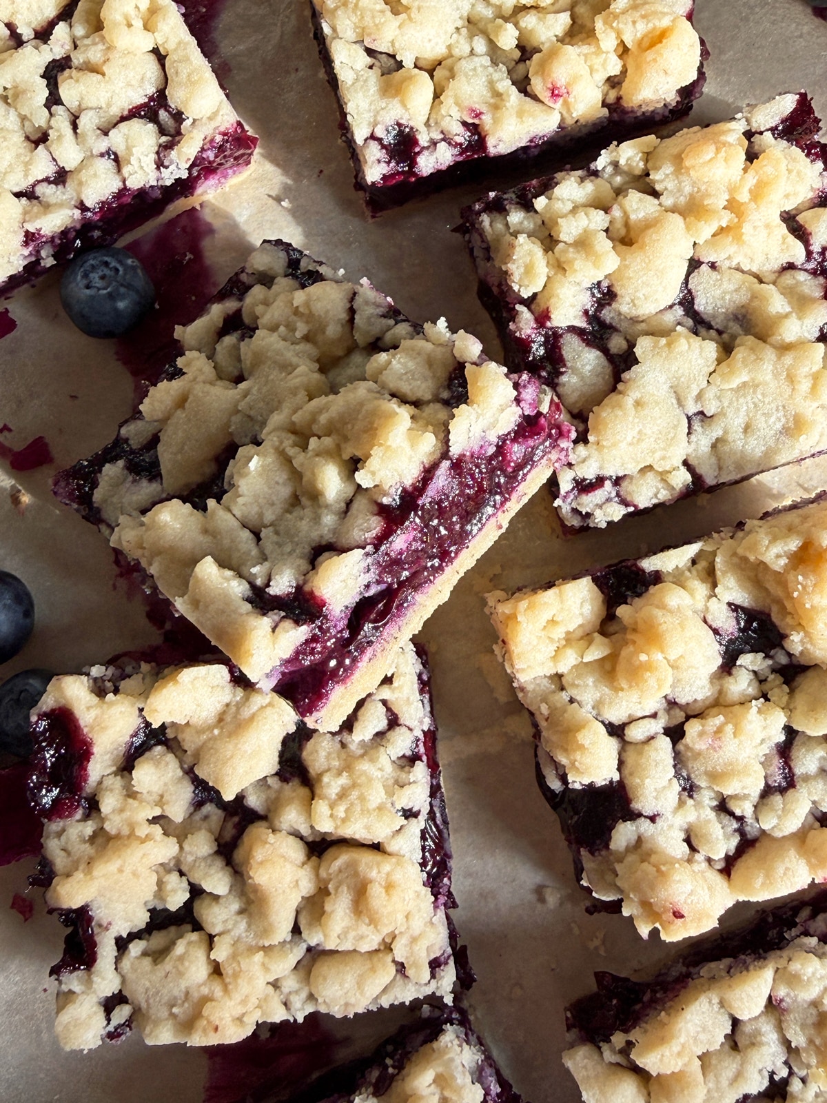 Paleo blueberry crumb bars.