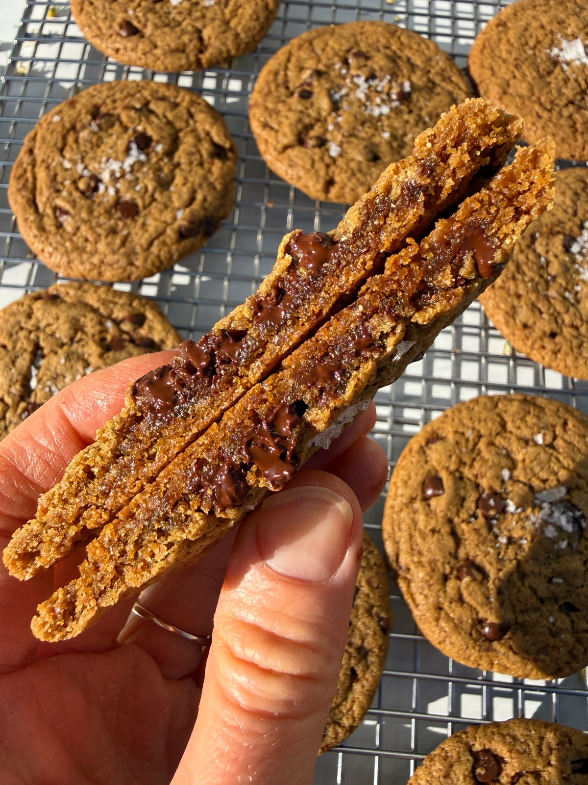 Cookie cut in half to show texture.