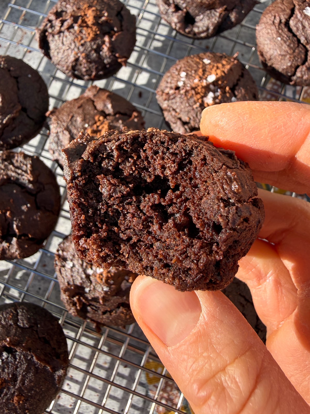 Holding a muffin with a bite out of it to show the size and inside texture.
