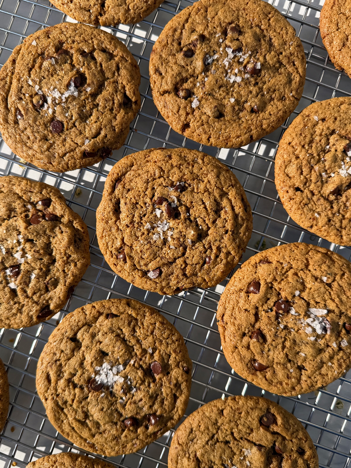 Cookies on wire cooling rack.