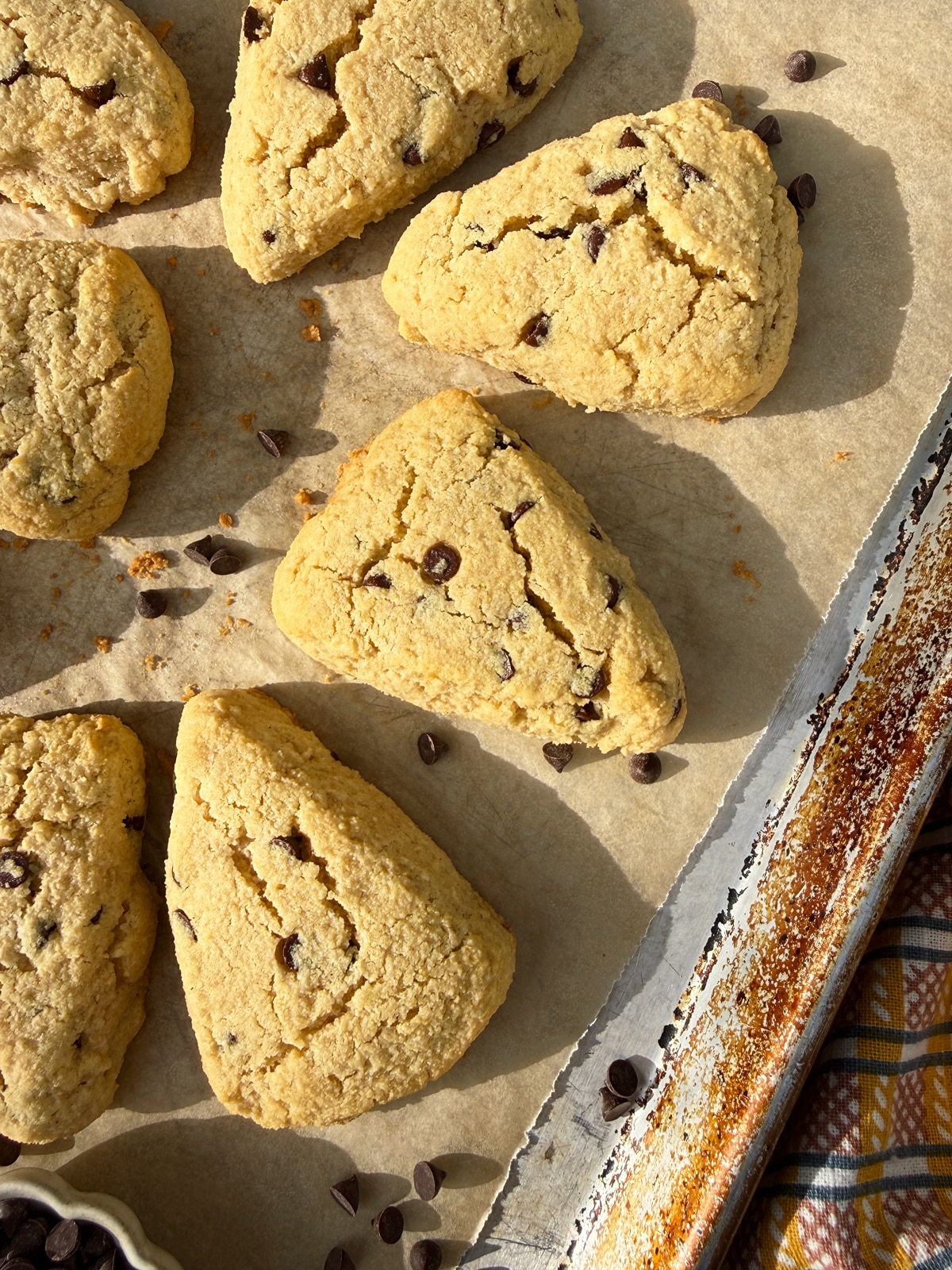 Paleo chocolate chip scones on lined baking sheet.