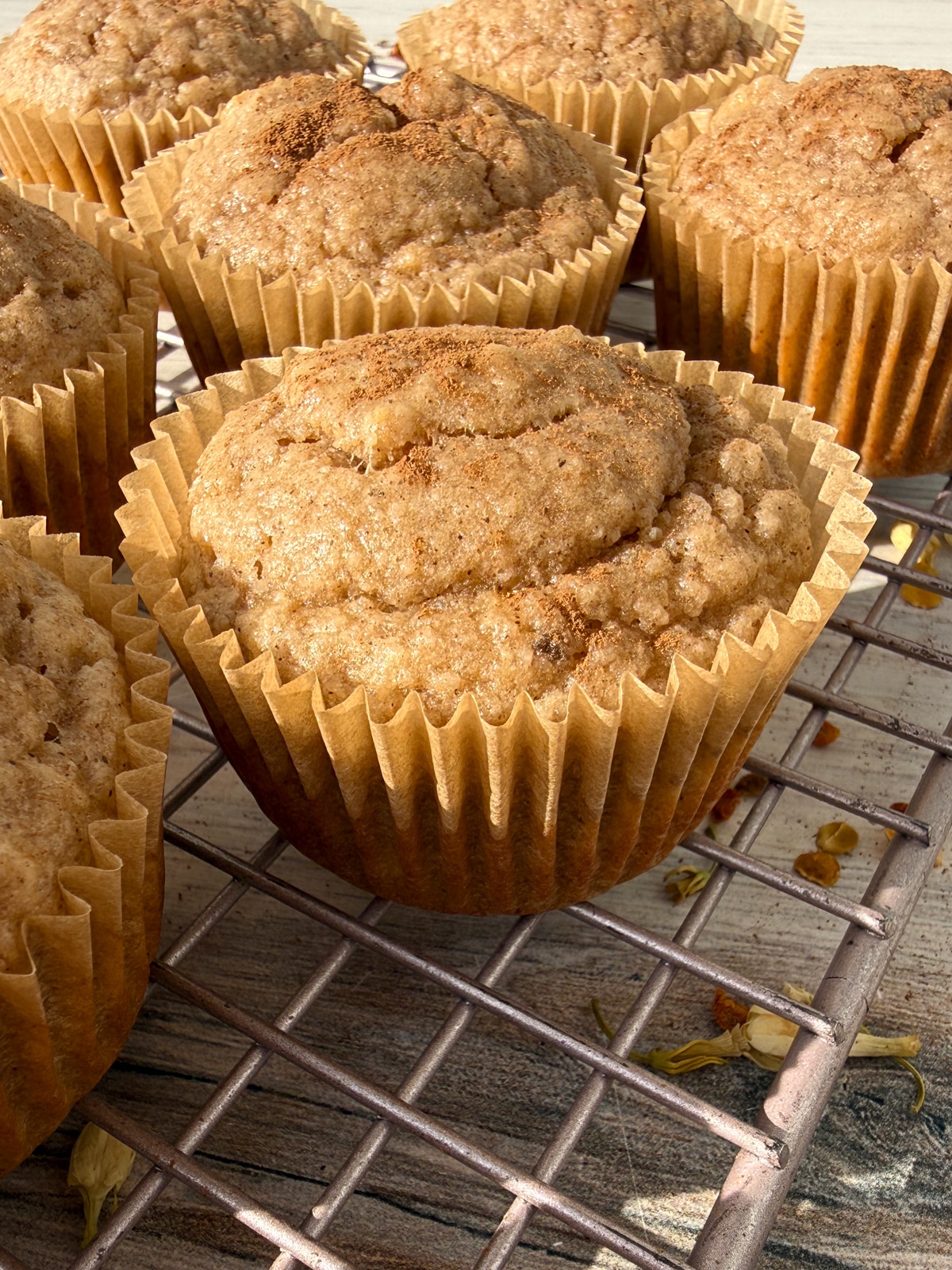 Side view of muffins.