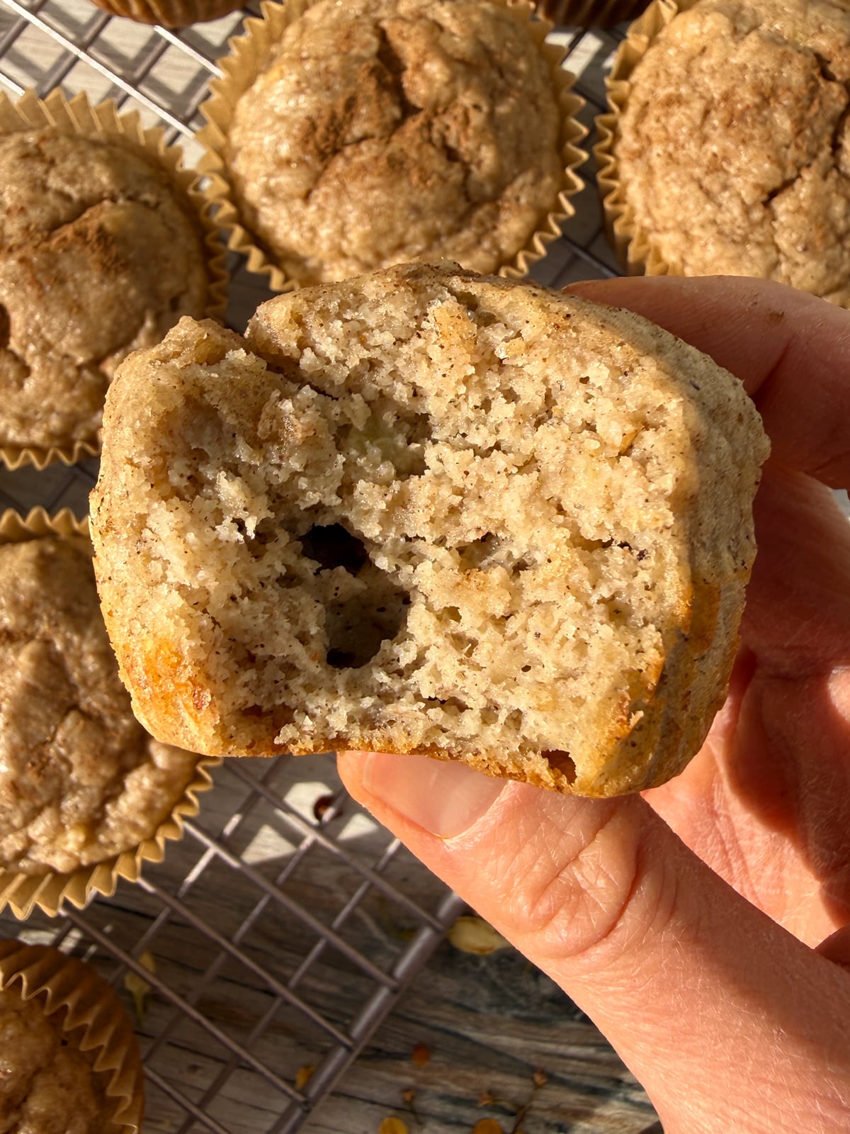 Fluffy paleo muffin with a bite out of it to show the texture.