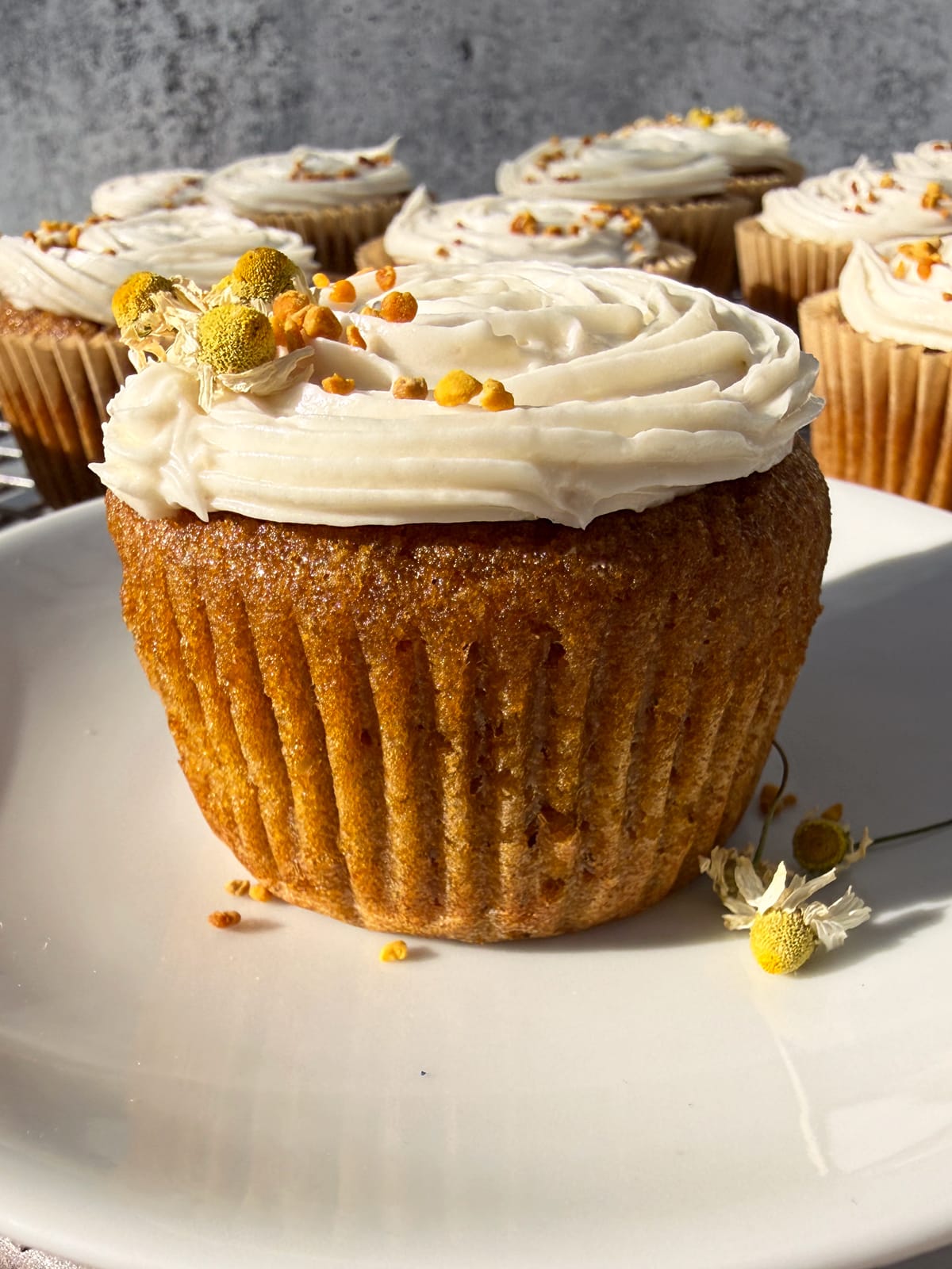 Close up of cupcake topped with paleo vanilla frosting.