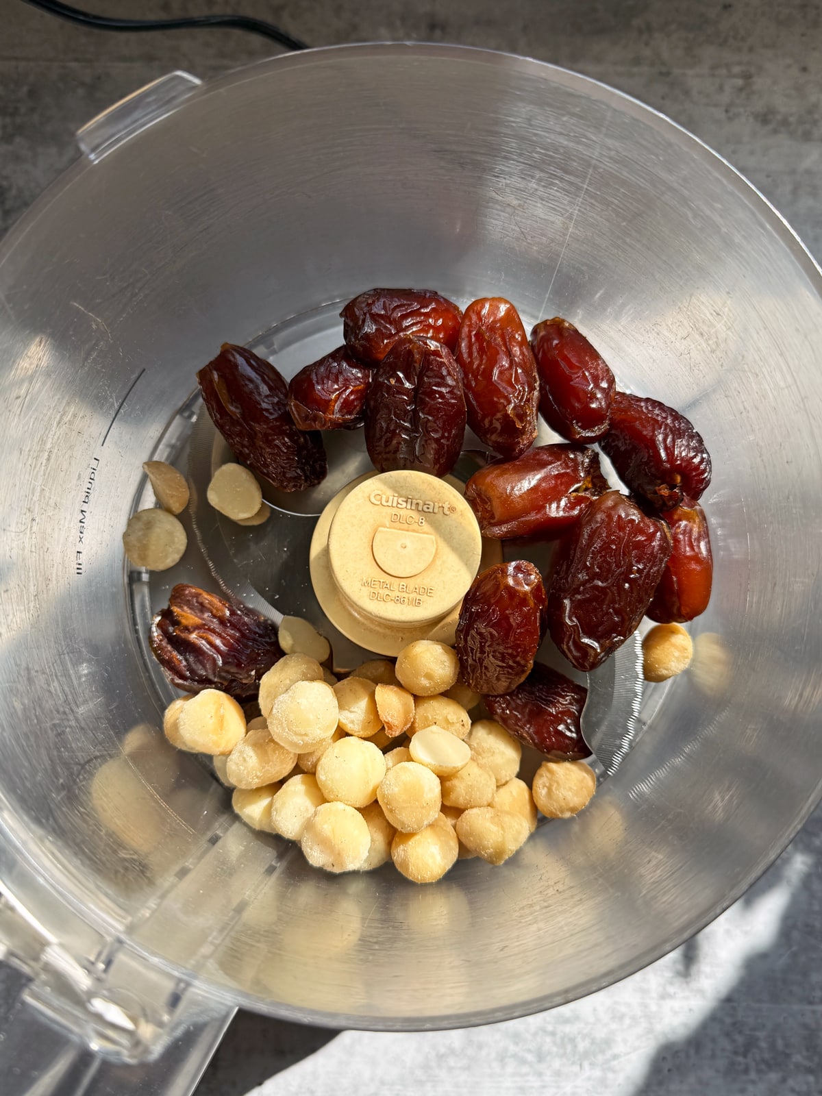 Dates and macadamia nuts in a food processor, ready to blend.