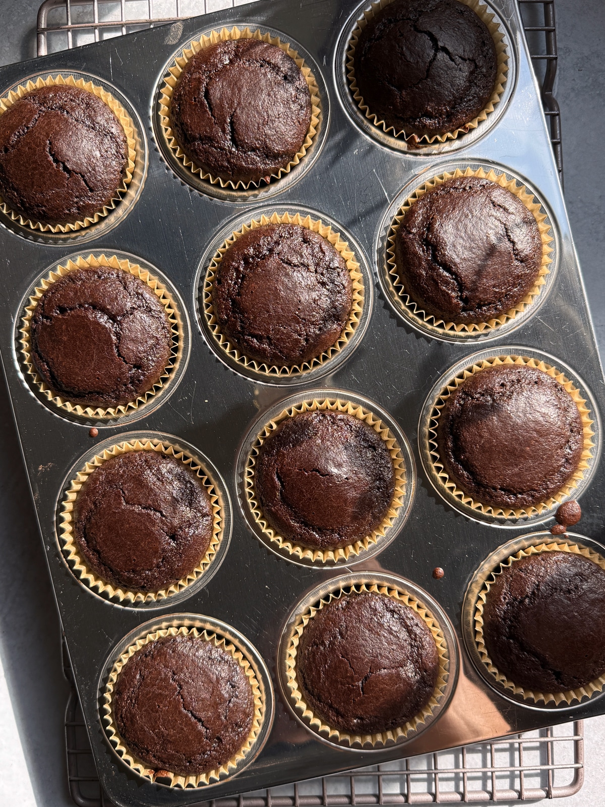 Freshly baked muffins in muffin tin.