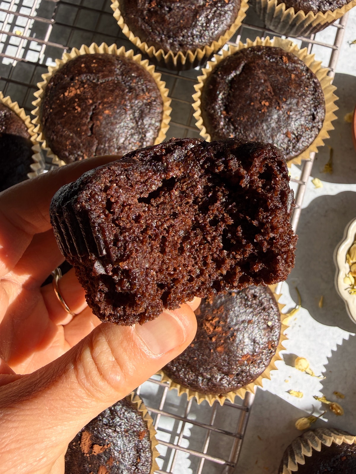Holding a chocolate muffin with a bite out of it.