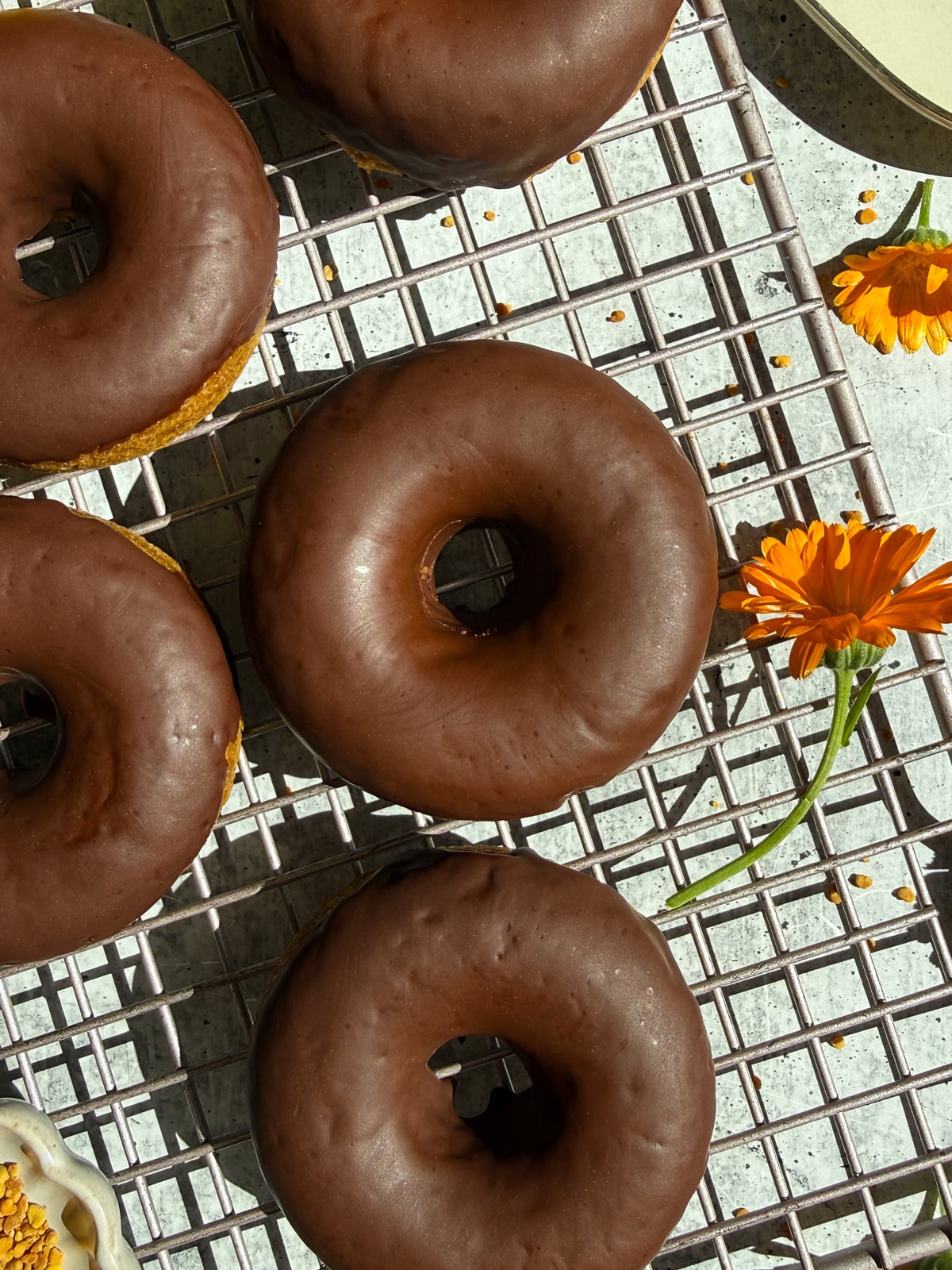 Top down view of glazed pumpkin donuts.