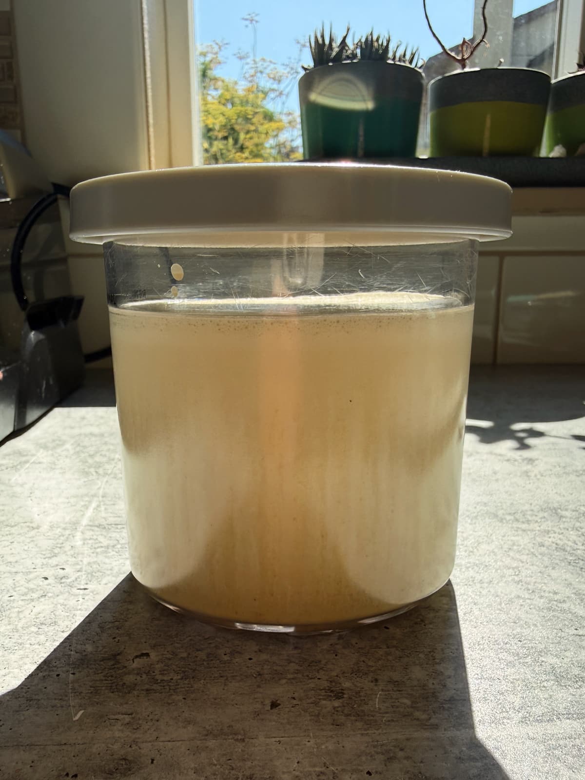 Ice cream ingredients in Creami pint.