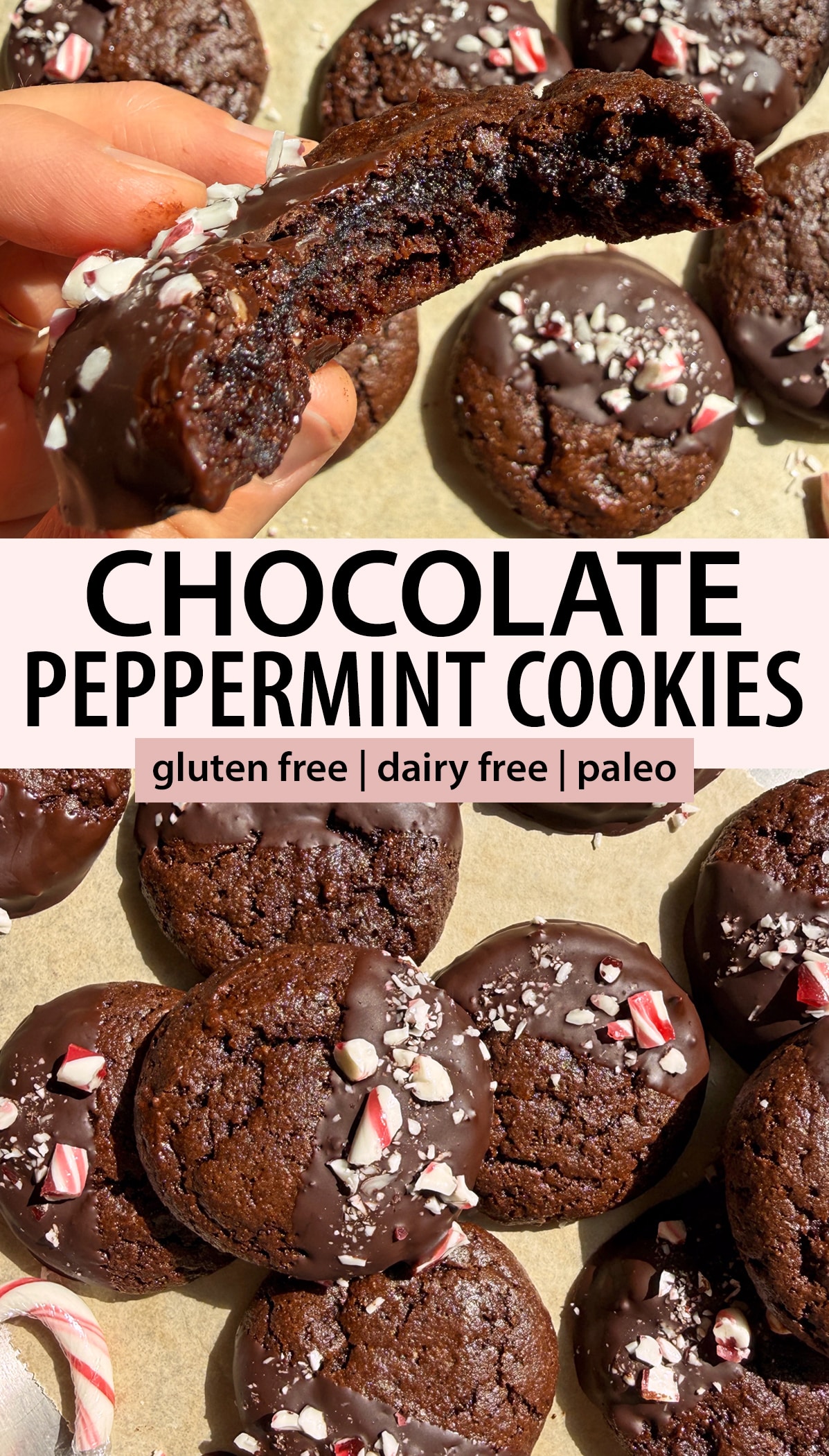 Pinterest image for chocolate peppermint cookies.