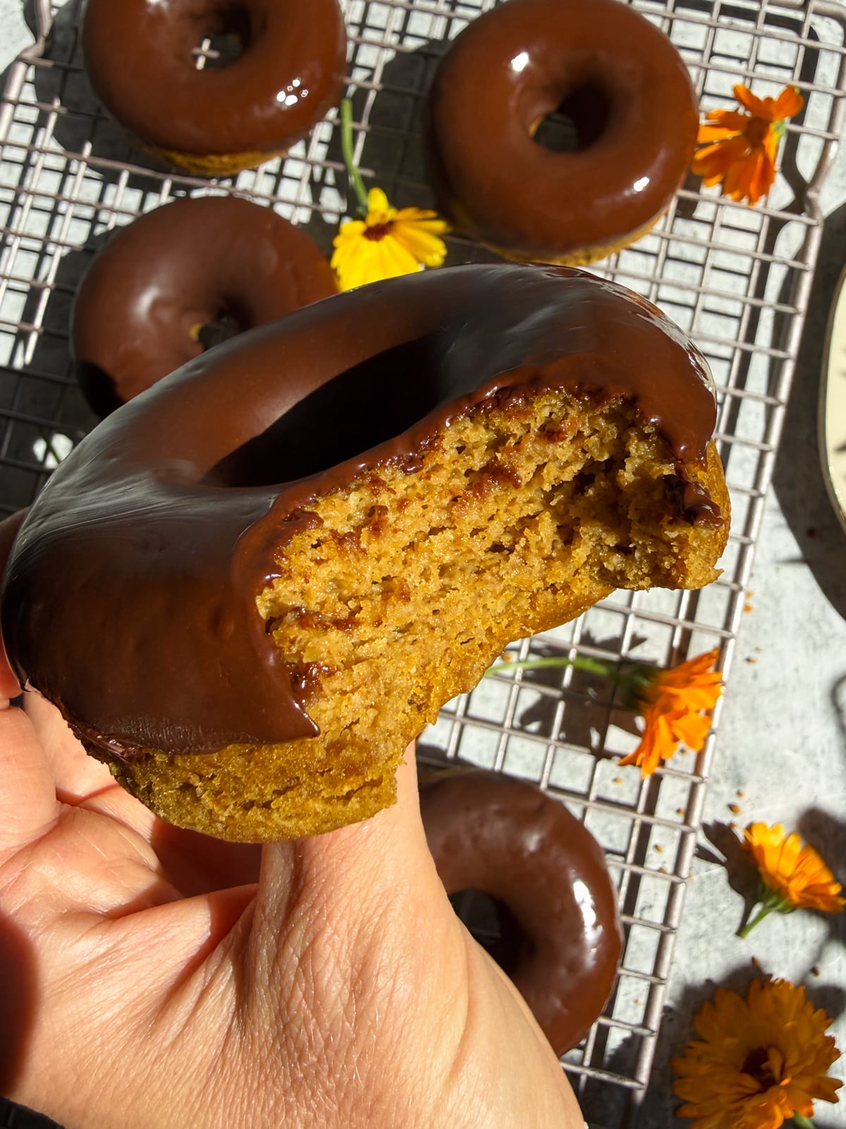 Bite of a pumpkin protein donut.