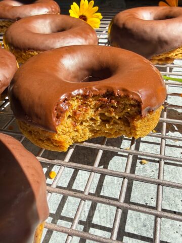 Bite of a donut to show the inside texture.