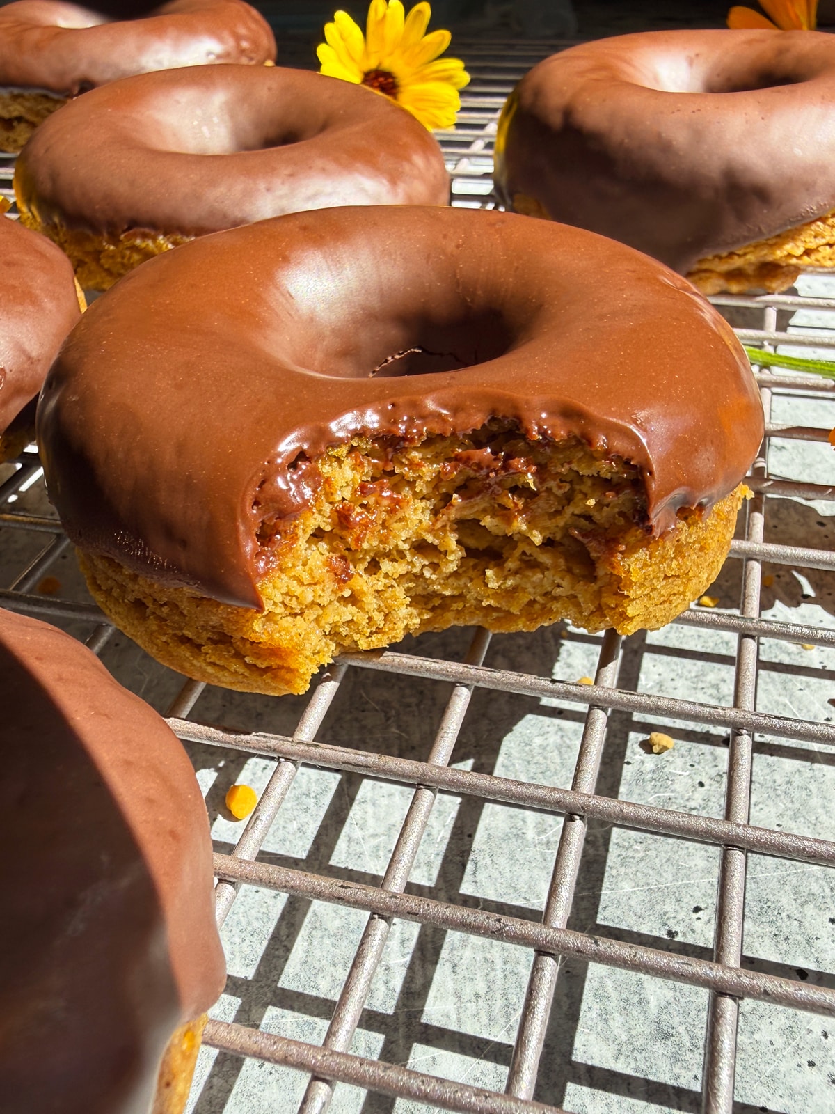 Bite of a donut to show the inside texture.