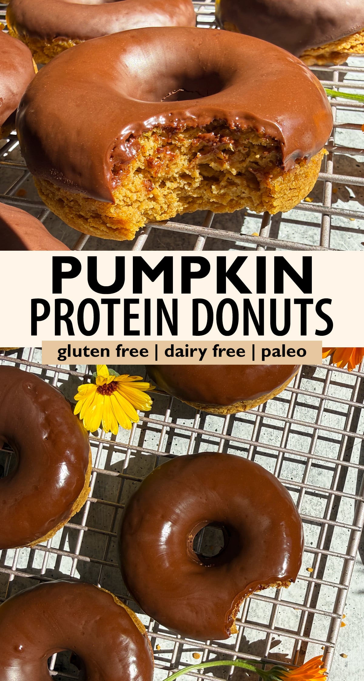 Pinterest image for pumpkin protein donuts.
