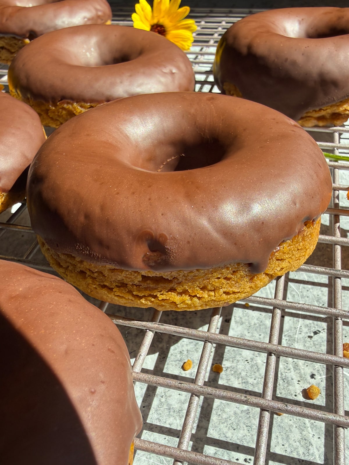 Side view of donut.