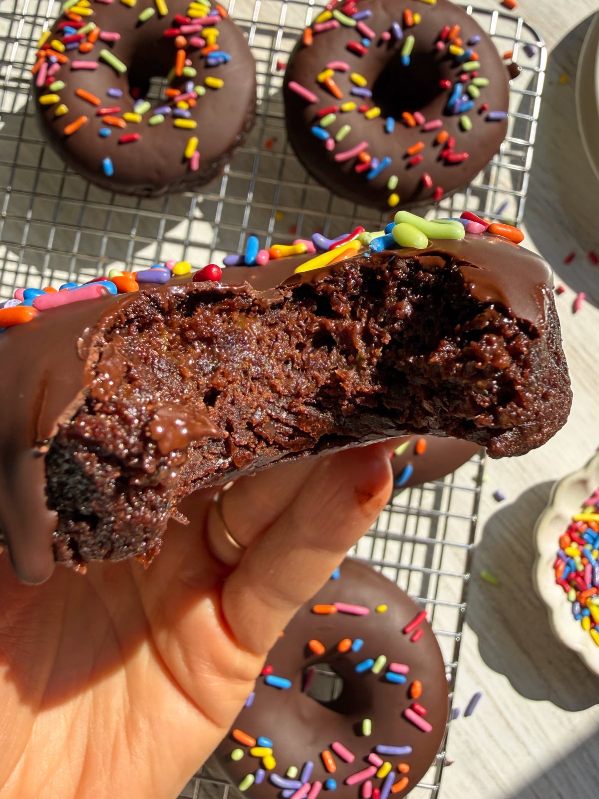 Bite of a donut to show the chewy texture.
