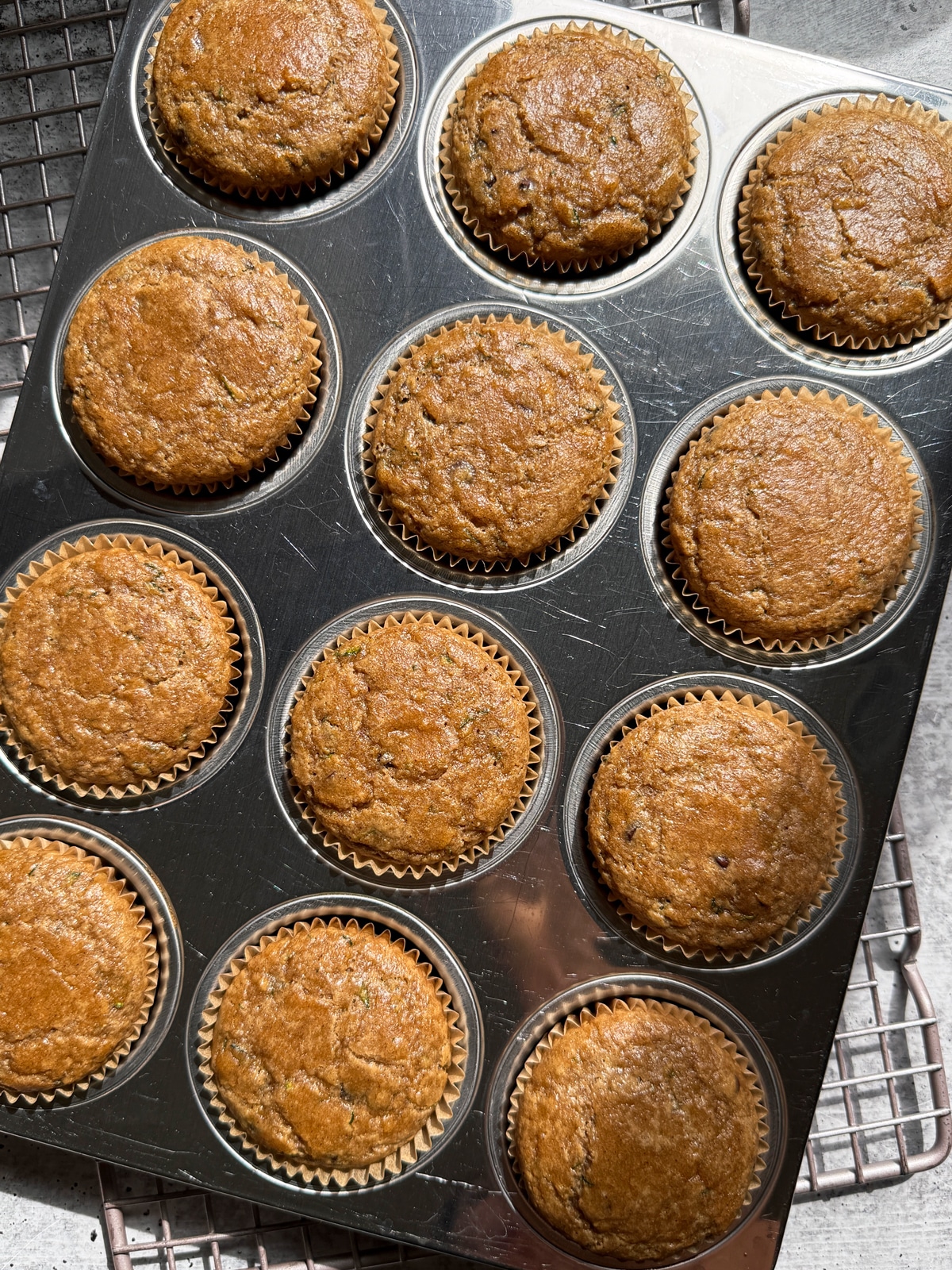 Freshly baked muffins in muffin pan.