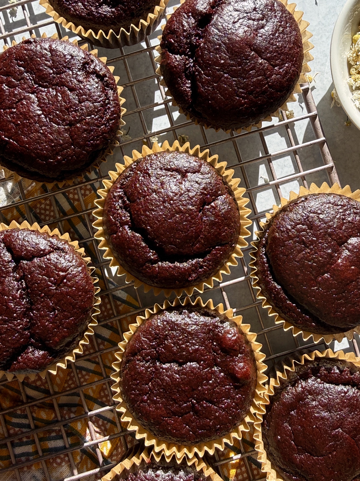 Top down view of beet muffins on wire cooling rack.