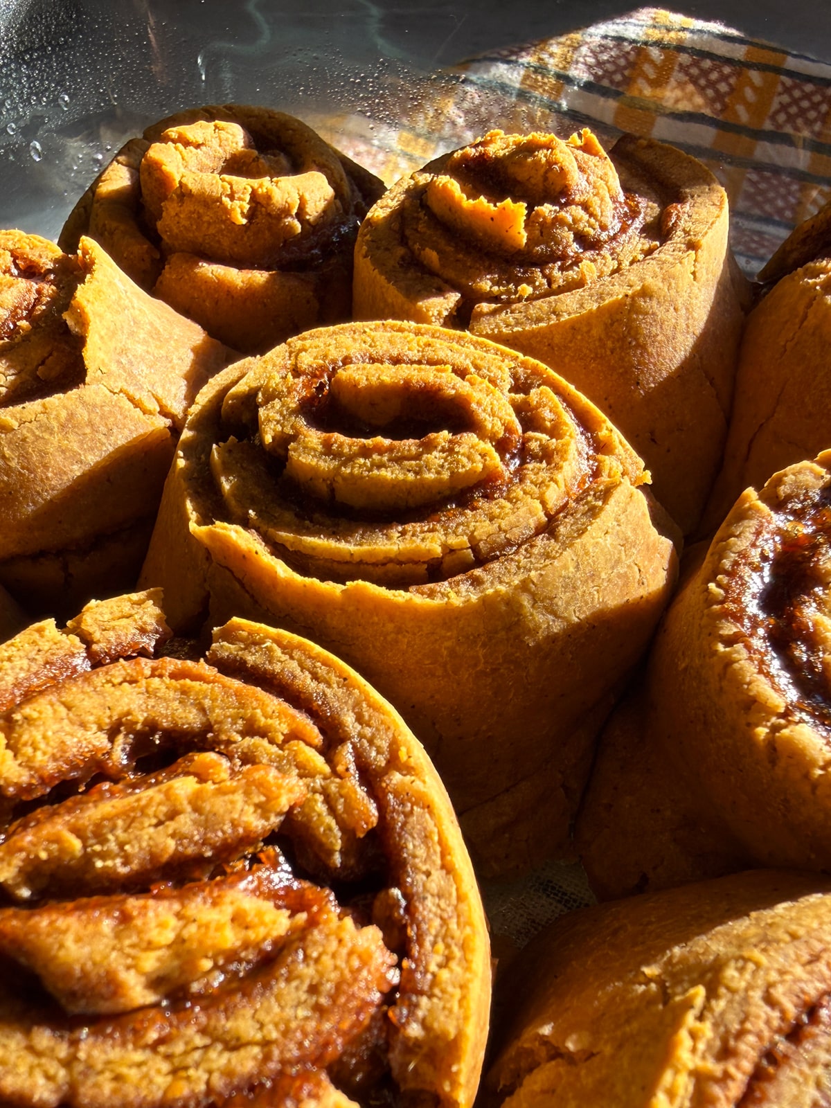 Close up of unfrosted pumpkin cinnamon rolls in baking dish.