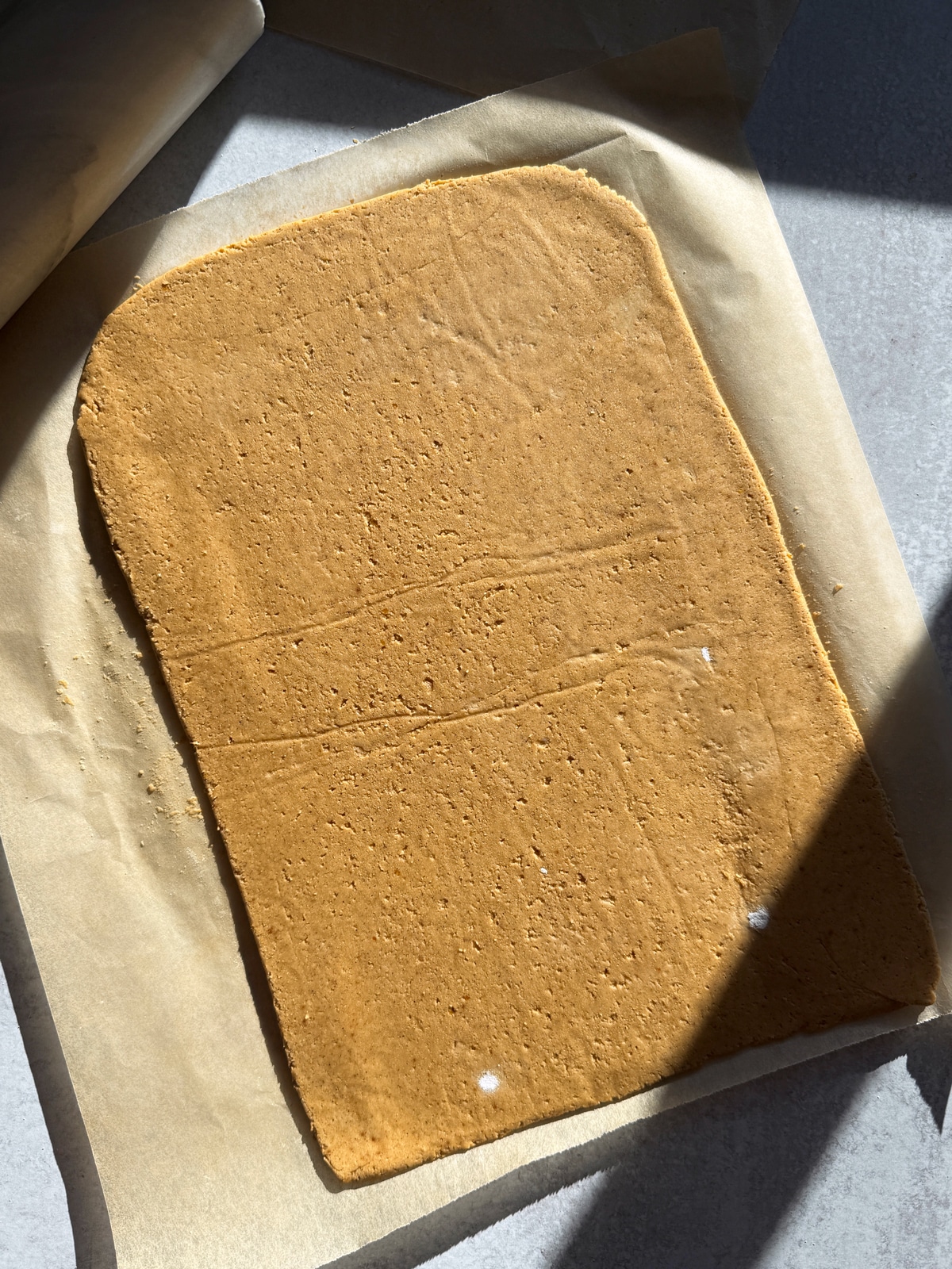 Dough rolled between parchment paper.
